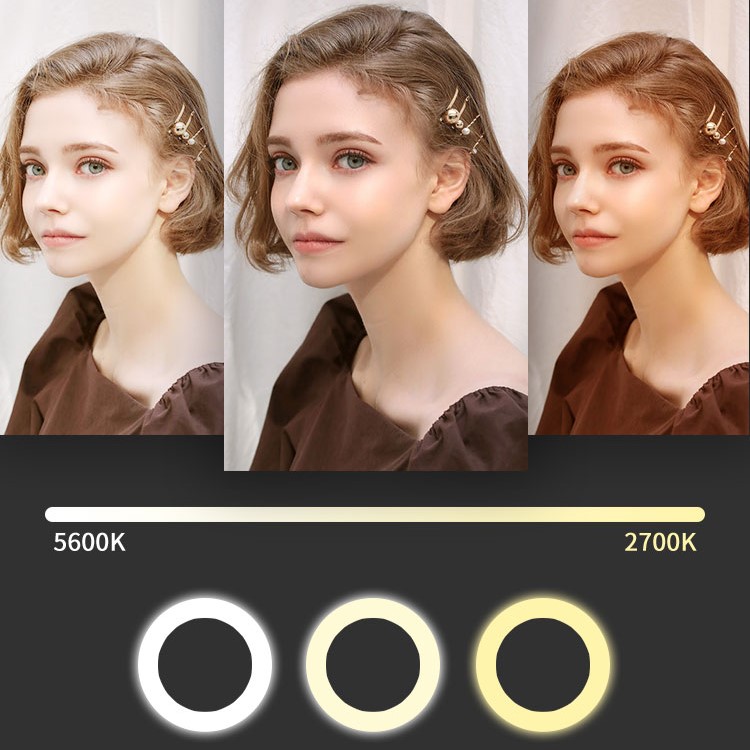 Anneau lumineux pliable pour selfie de 18 pouces pour le maquillage